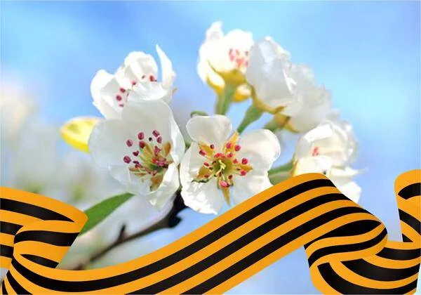 Режим работы поликлиники в период майских праздников!