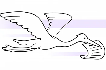 Как зарегистрировать рождение в электронном виде