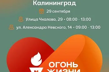 Всероссийская эстафета факела «Огонь жизни» пройдет в Калининграде