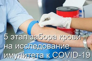 5 этап забора крови на исследование имунитета к COVID-19