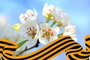 Режим работы поликлиники в период майских праздников!